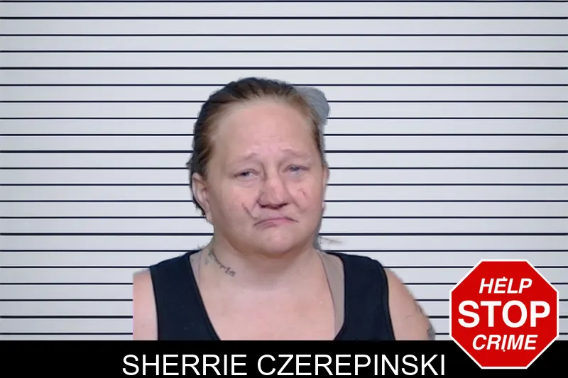 Sherrie Czerepinski mugshot