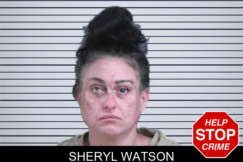 Sheryl Watson mugshot