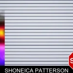 Shoneica Patterson mugshot