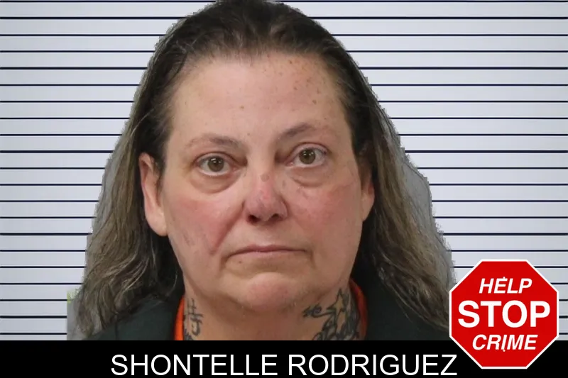 Shontelle Rodriguez mugshot – Mcintosh County , Georgia Shontelle Rodriguez mugshot