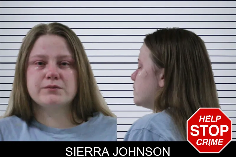 Sierra Johnson mugshot