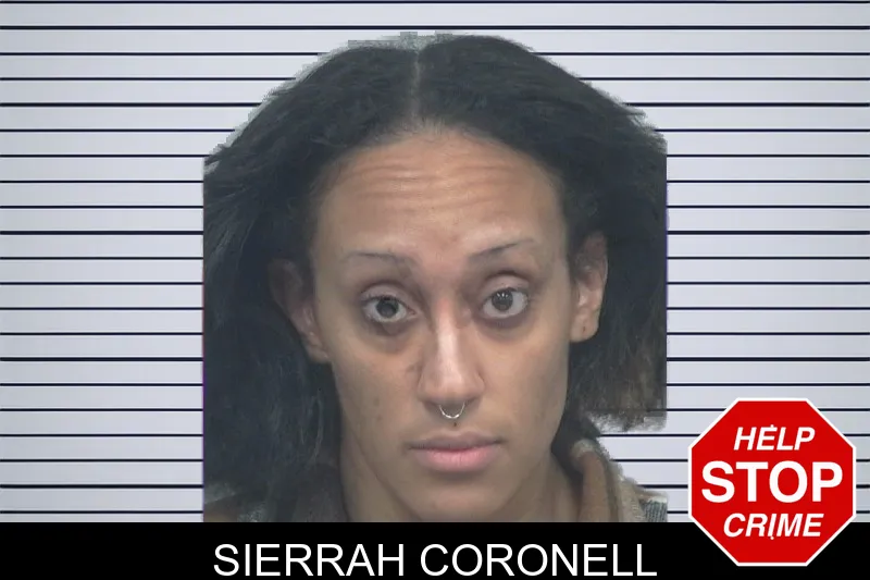 Sierrah Coronell mugshot – Gwinnett County , Georgia Sierrah Coronell mugshot