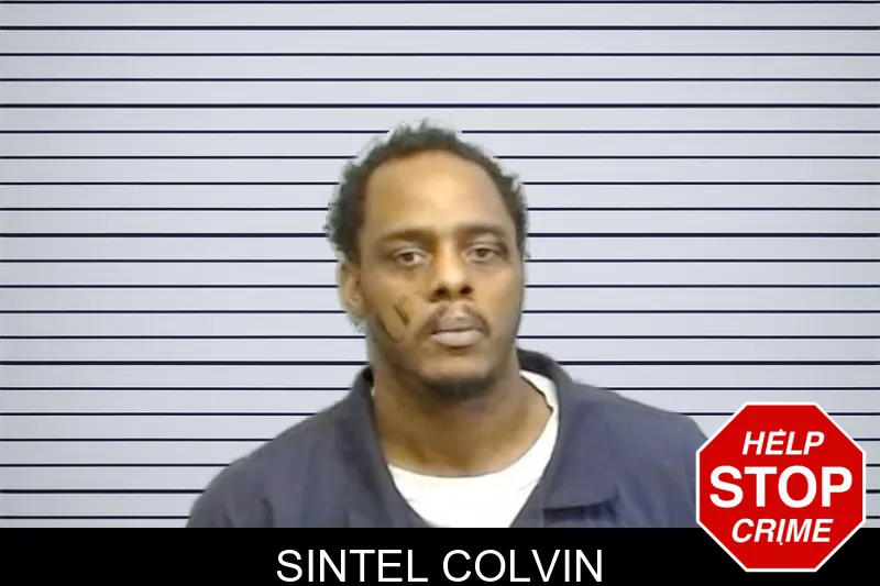 Sintel Colvin mugshot