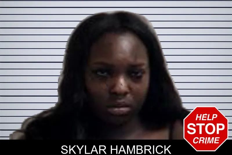 Skylar Hambrick mugshot – Henry County , Georgia Skylar Hambrick mugshot