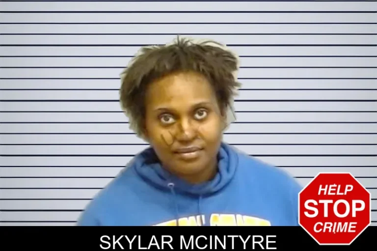 Skylar McIntyre mugshot – Fulton County , Georgia Skylar McIntyre