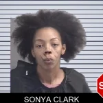 Sonya Clark mugshot – Spalding County , Georgia Sonya Clark mugshot