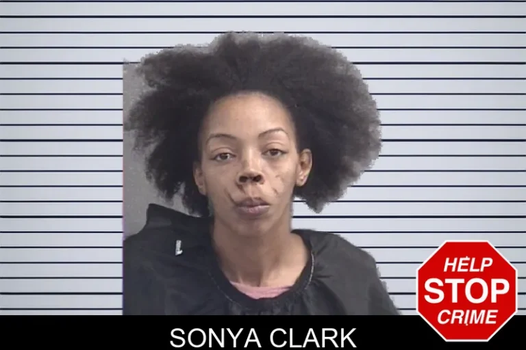 Sonya Clark