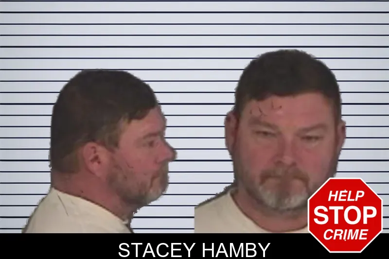 Stacey Hamby mugshot