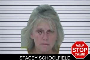 Stacey Schoolfield mugshot