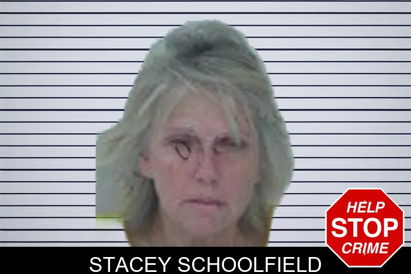 Stacey Schoolfield mugshot