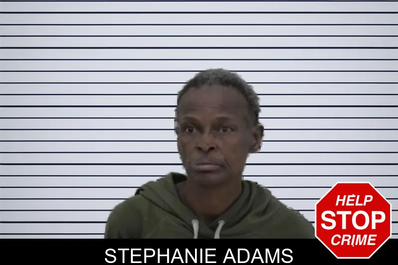 Stephanie Adams mugshot