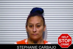 Stephanie Carbajo mugshot