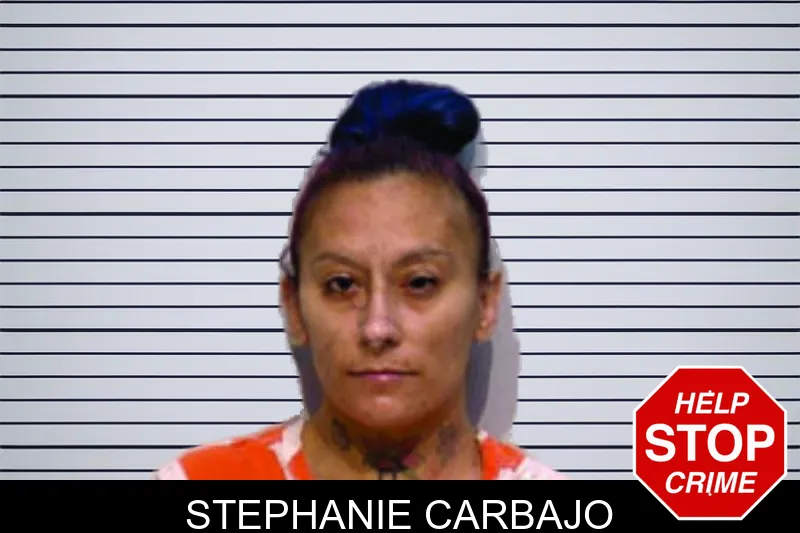 Stephanie Carbajo mugshot