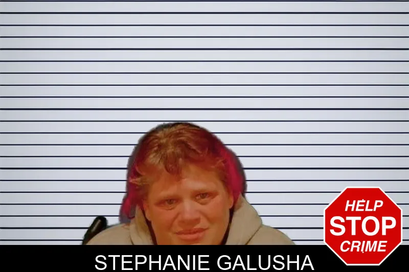 Stephanie Galusha mugshot