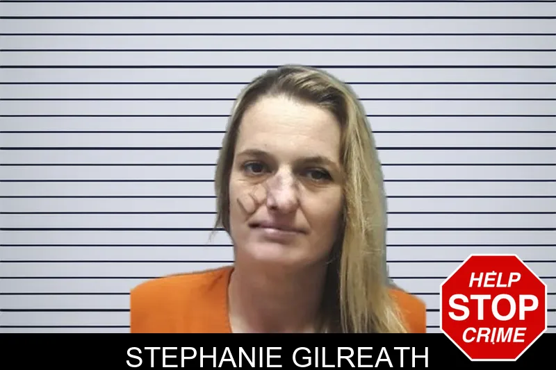Stephanie Gilreath mugshot – Cherokee County , Georgia Stephanie Gilreath mugshot