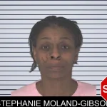 Stephanie Moland-Gibson mugshot