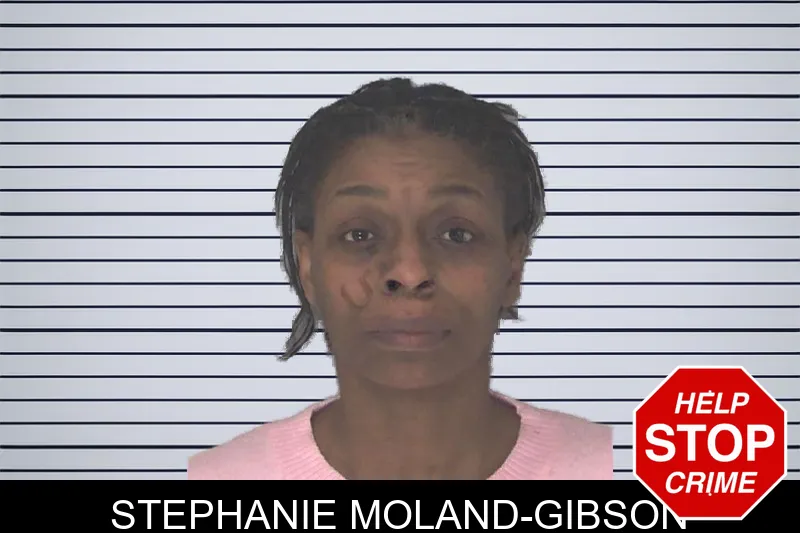 Stephanie Moland-Gibson mugshot
