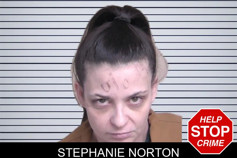 Stephanie Norton mugshot