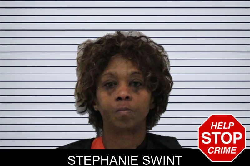 Stephanie Swint mugshot