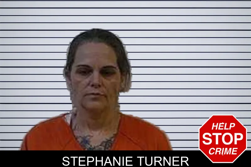 Stephanie Turner mugshot – Polk County , Georgia Stephanie Turner mugshot
