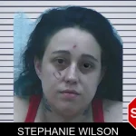 Stephanie Wilson mugshot – Jackson County , Georgia Stephanie Wilson mugshot