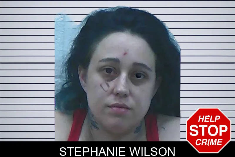 Stephanie Wilson mugshot