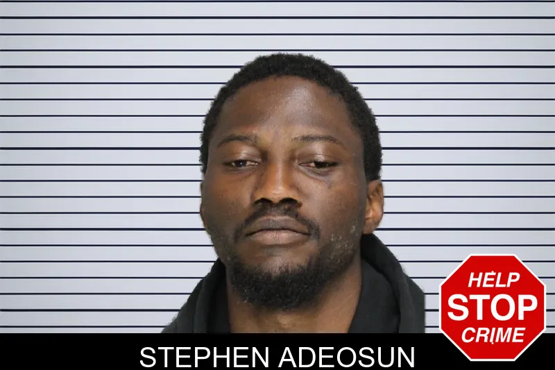 Stephen Adeosun mugshot – Cobb County , Georgia Stephen Adeosun mugshot