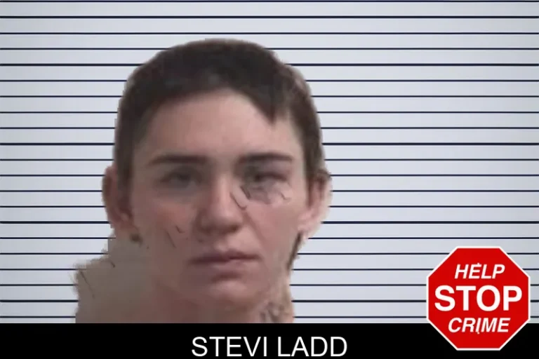 Stevi Ladd mugshot – Henry County , Georgia Stevi Ladd
