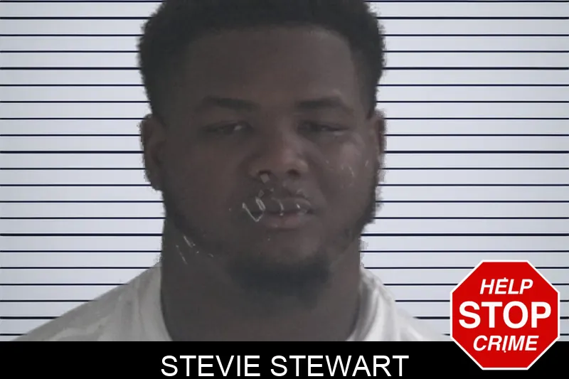 Stevie Stewart mugshot – Brantley County , Georgia Stevie Stewart mugshot