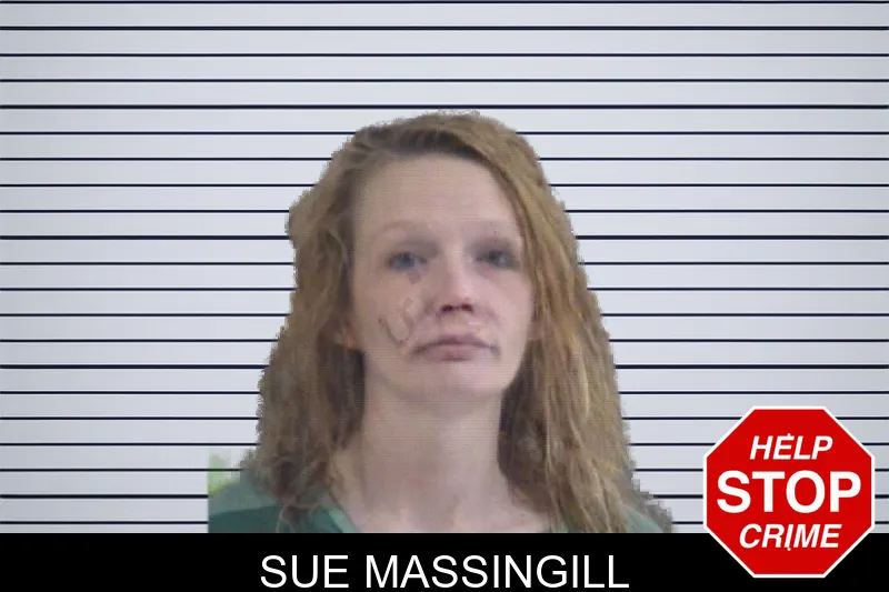 Sue Massingill mugshot