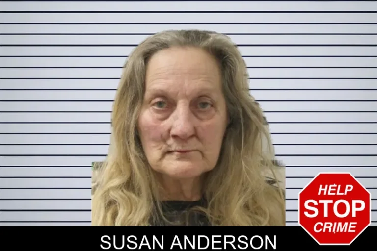 Susan Anderson mugshot – Toombs County , Georgia Susan Anderson