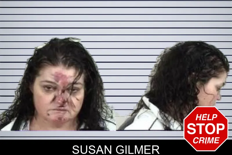 Susan Gilmer mugshot