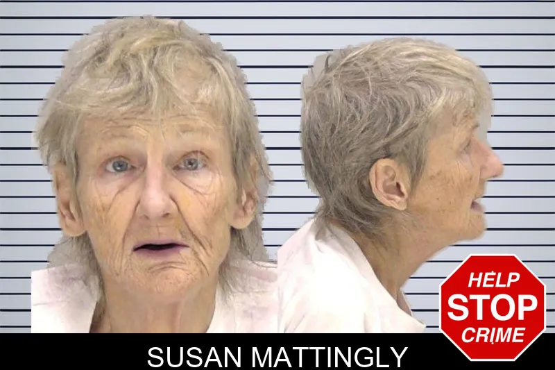 Susan Mattingly mugshot