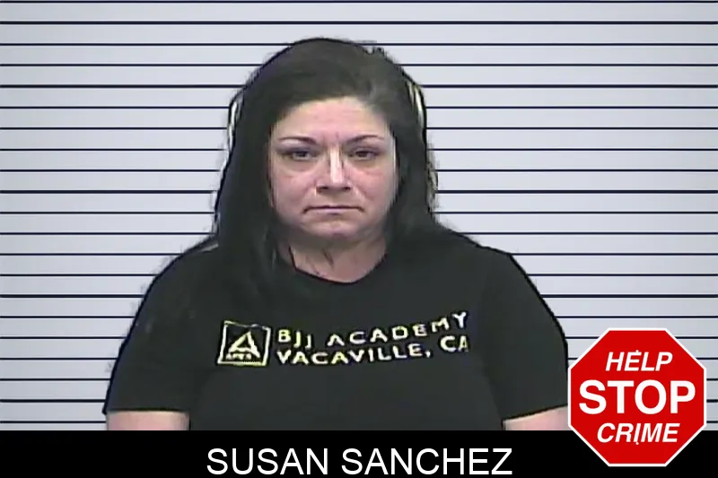 Susan Sanchez mugshot