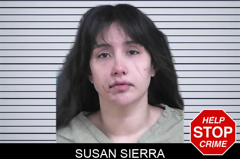 Susan Sierra mugshot