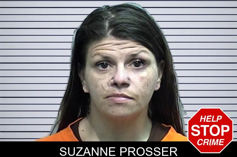 Suzanne Prosser mugshot – Effingham County , Georgia Suzanne Prosser mugshot