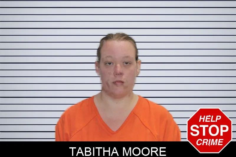 Tabitha Moore mugshot – Murray County , Georgia Tabitha Moore mugshot