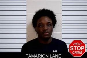 Tamarion Lane mugshot
