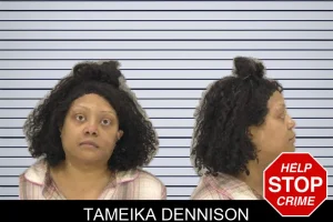 Tameika Dennison mugshot