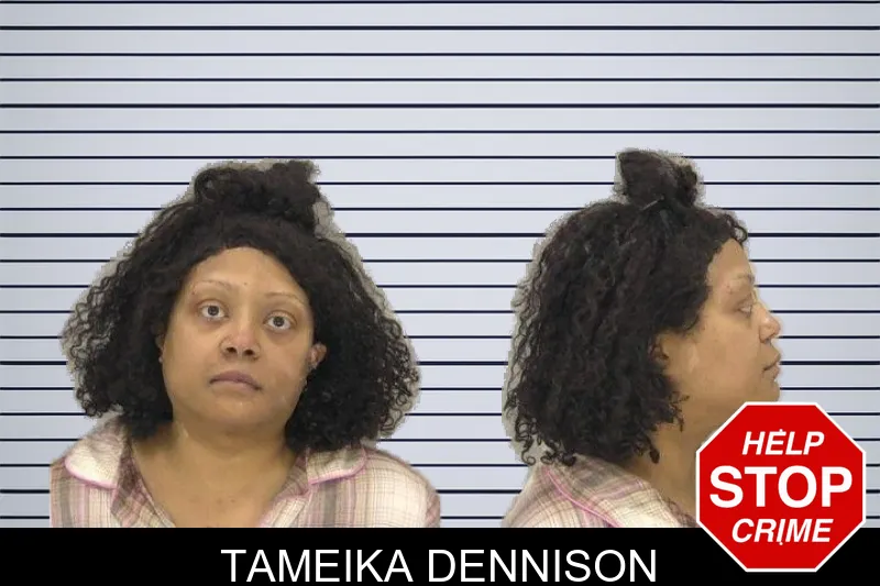 Tameika Dennison mugshot