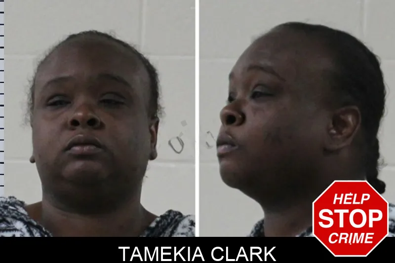 Tamekia Clark mugshot