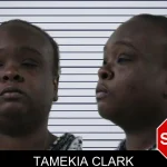 Tamekia Clark mugshot
