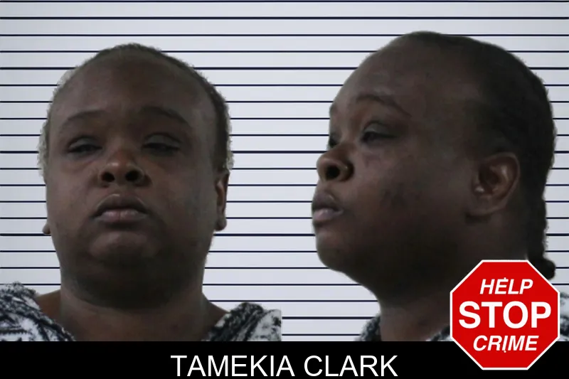 Tamekia Clark mugshot