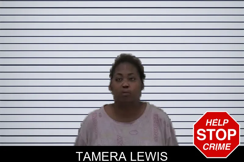 Tamera Lewis mugshot