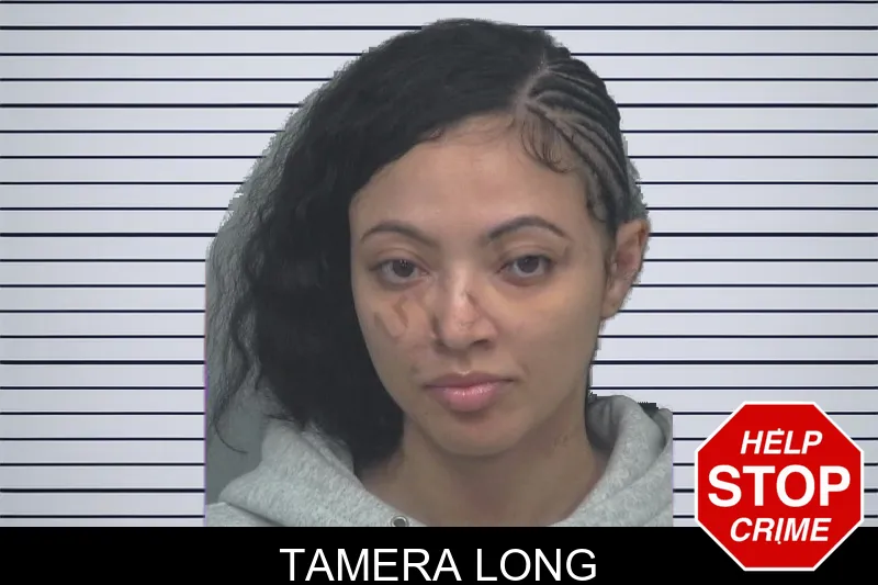 Tamera Long mugshot