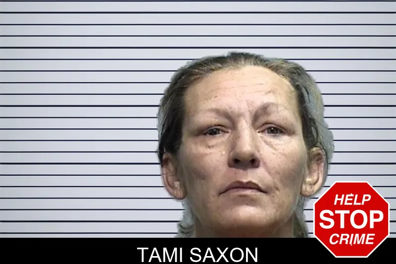 Tami Saxon mugshot