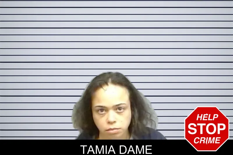 Tamia Dame mugshot – Fulton County , Georgia Tamia Dame mugshot