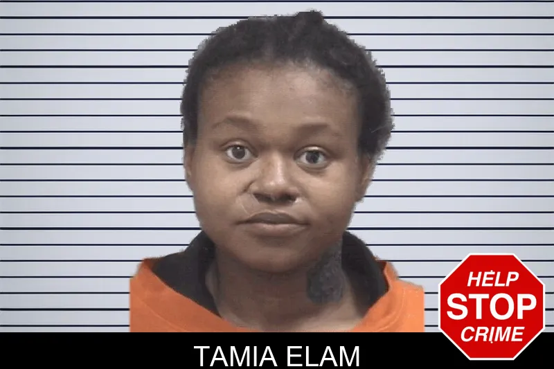 Tamia Elam mugshot