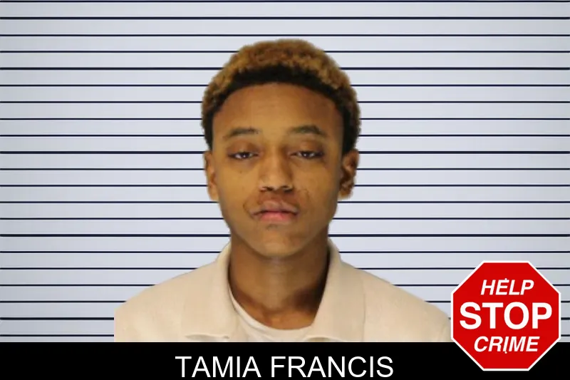 Tamia Francis mugshot – Hall County , Georgia Tamia Francis mugshot