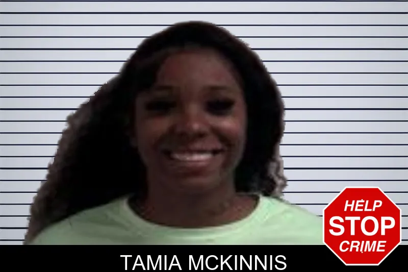Tamia McKinnis mugshot